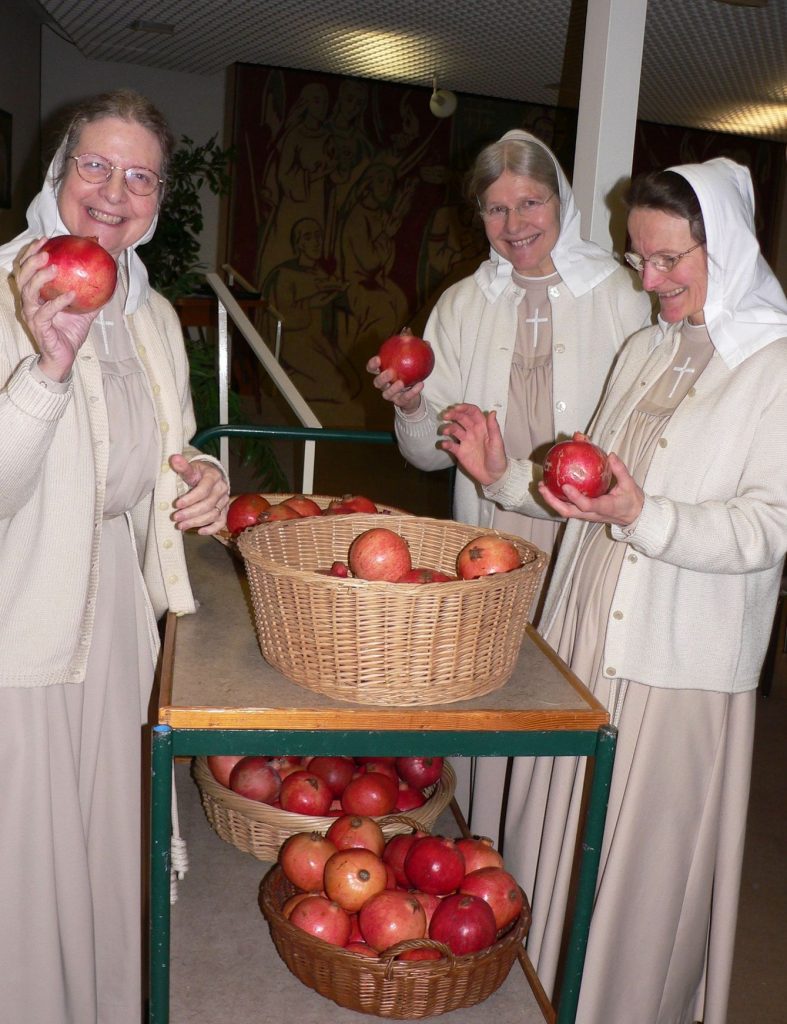 Granatäpfel Vatergüte - Granatäpfel