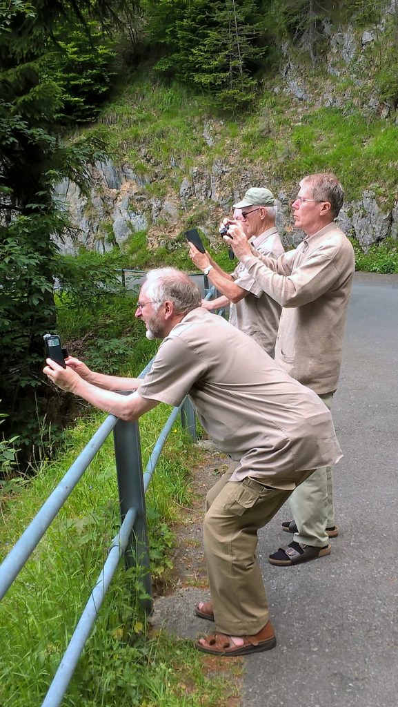 Brüder beim Fotografieren Brüder beim Fotografieren